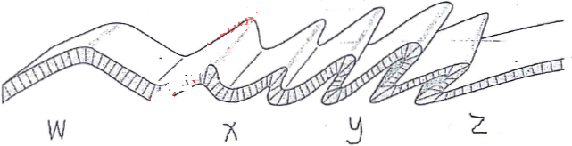 fold mountains alliance past papers