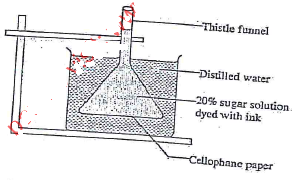 physiological process