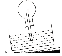 10 roundedflask phyc