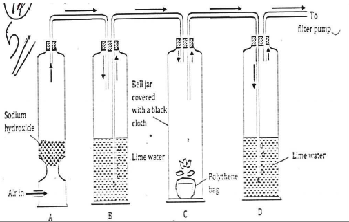 filter pump bio