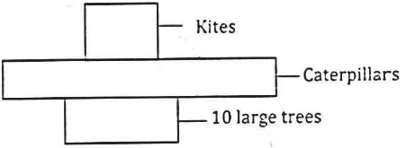 food chain bio