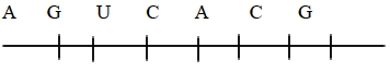 nucleic acid bio