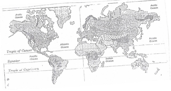 world vegetation zones mokasa 2016