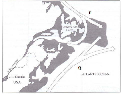 North west Atlantic fishing grounds mokasa 2016