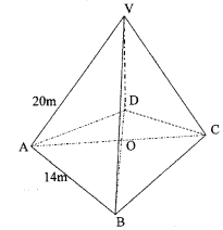 right pyramid mokasa 2016