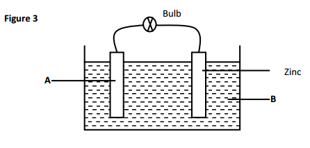 simple cell