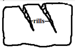 rill erosion.PNG