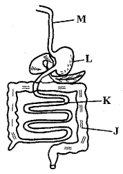 science set 4 q2.png