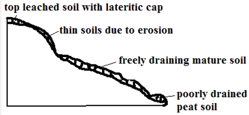 soil catena.PNG