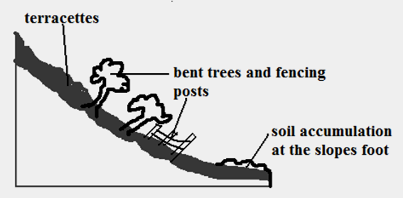soil creep.PNG