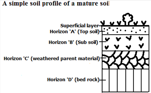 soil profile.PNG