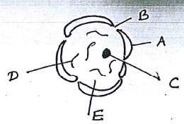 cell organelle