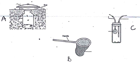 specimen apparatus