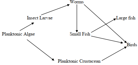 ecology ans4a