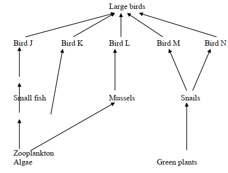 ecology foodwebq20