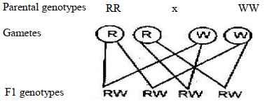 genetics ans10