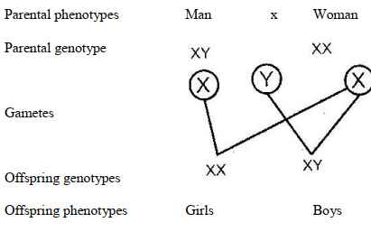 genetics ans20