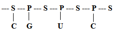 genetics q1