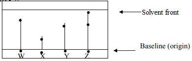 Base line and solvent front