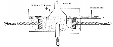 Downs cell