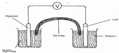 electrochemical cell