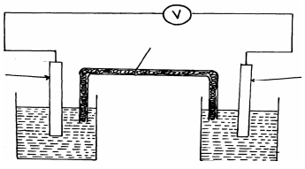 electrochemical cell ans24