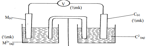 electrochemical cell ans45