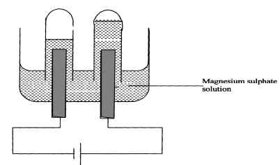 electrolysis of magnesium sulphate