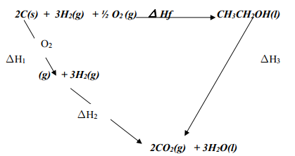 energy flow diagram ans7