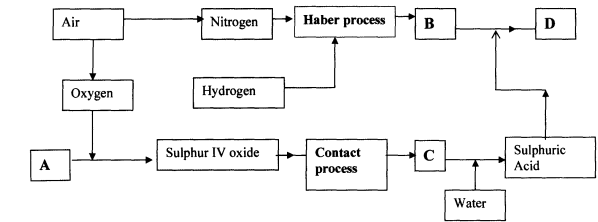 haber contact process