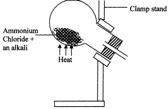 preparation of ammonia