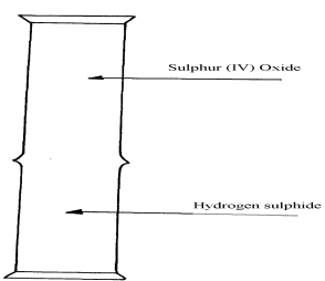 reaction between H2S and SO2