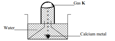 reaction between calcium and water