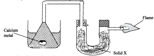 reaction between metals and water