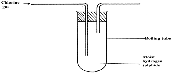 reaction of chlorine and moist hydrogen sulphide