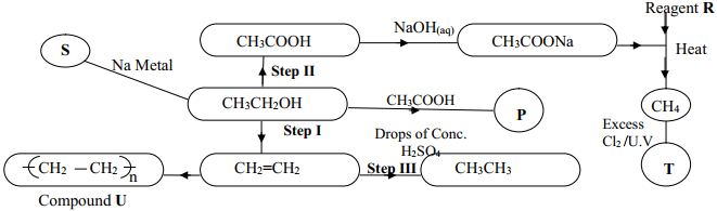 reactions of ethanol q12b