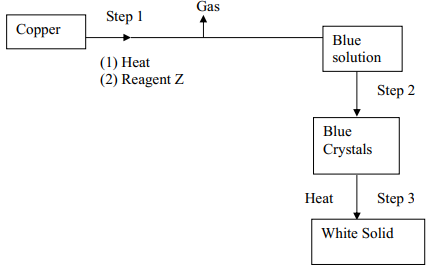 saltsq1flowchart