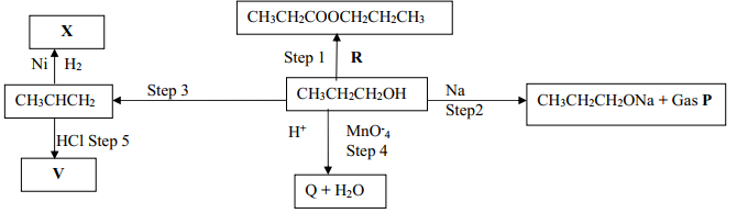 schemeq15orgchem2