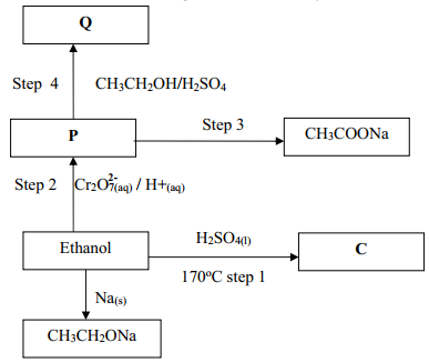 schemeq28orchem2