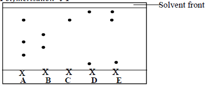 solvent front