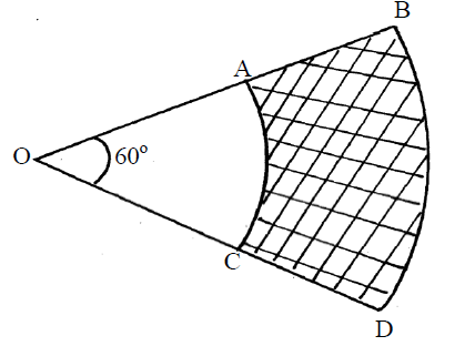 VS Q5