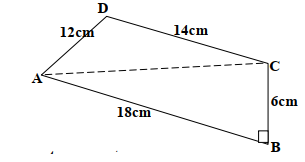 polygons ans2