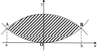 differentiation q6