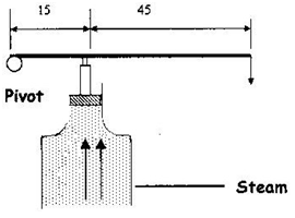 device for closing a steam outlet