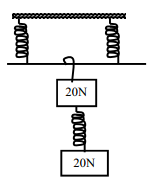 hookes law q3