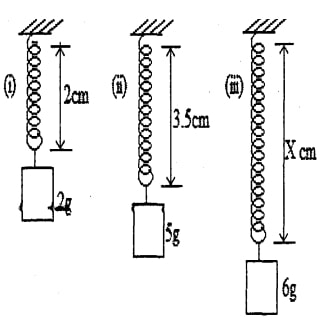 hookes law q8