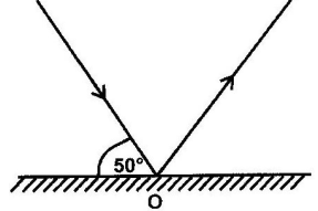 rectilinearq4