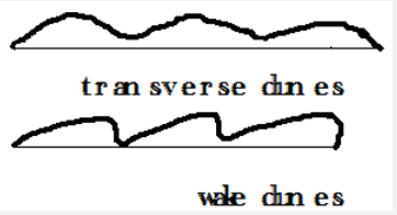 transverse dunes.PNG