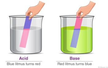 acida and bases