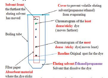 solvent sjhda